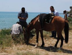 Endemik Bitkilerin Korunması İçin At Ve Deve Turları Yasaklandı
