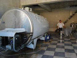 Sındırgı Süt Üreticileri Birliği Desteklemelerle İlgili Açıklama Yaptı