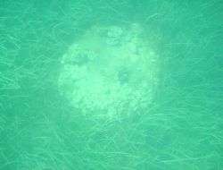 ÇANAKKALE BOĞAZI’NDA MAYIN BULUNDU