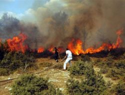 Erzinde'ki Orman Yangını Evlere Sıçramadan Söndürüldü