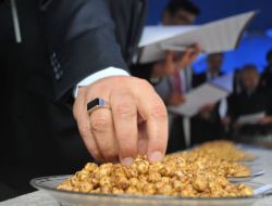 Çorum'da Leblebiciler En Güzelini Üretmek İçin Yarıştı