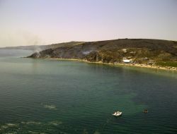 Avşa Ve Erdek'te 150 Hektar Orman Yandı