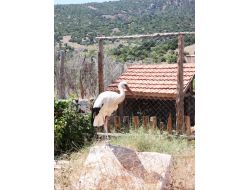 Who, Kansere Dikkat Çekmek İçin Kurulan Organik Köye Destek Olacak