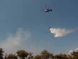 Karatepe Açık Hava Müzesi Yakınındaki Yangın Paniğe Neden Oldu