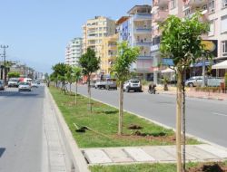 Antalya’ya 6 Ayda 4 Bin Ağaç Dikildi
