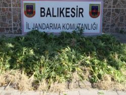 SINDIRGI’DA ESRAR OPERASYONU