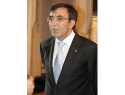 Bakan Yılmaz, Japonlara Ebru Hediye Etti