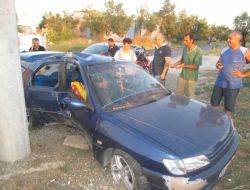 Önüne Çıkan Köpeği Ezmemek İçin Driksiyonu Kırdı Direğe Çarptı