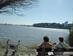 Elbe Nehri’nin Bir Metre Derinleştirilmesi Mahkemeye Taşındı
