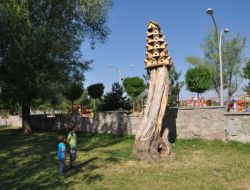 Gölbaşı Belediyesi'nden Kuşlar İçin 6 Katlı Yuva