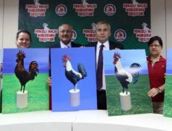 Denizli’nin Yeni Horoz Heykelinin Malzemesi Anketle Belirlenecek