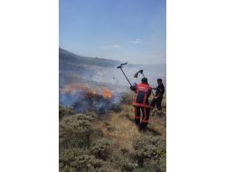 Ot Yangını İtfaiye Erlerinin Yoğun Çabası Sonucu Söndürüldü