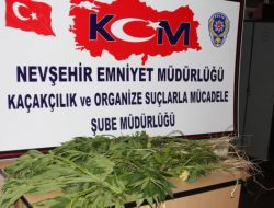 Bahçede Hint Keneviri Yetiştiren Bir Kişi Yakalandı