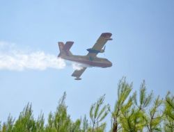 Alanya’daki Yangın Kontrol Altına Alındı