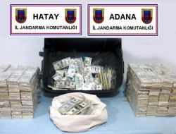 3 Milyon 910 Bin Sahte Dolar Ele Geçirildi!