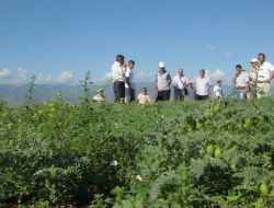 Erbaa Baklada Da Söz Sahibi Olacak