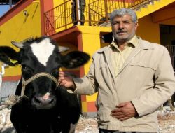 Kurban Bayramına Sayılı Günler Kala Hayvan Pazarlarına Uğrayan Yok