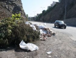 Şehrin Ortasındaki Çöp Yığını Tepkiyle Karşılanıyor