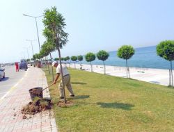 Beylikdüzü Sahili Festivale Hazır