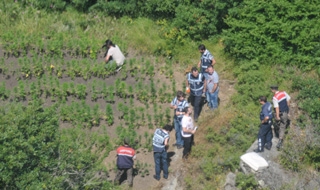 İstanbul’un çevresi uyuşturucu tarlası