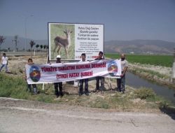 Dağ Ceylanları İçin Tanıtım Atağı