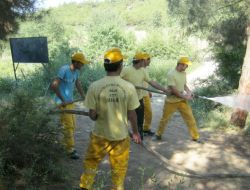 Erbaa Orman İşletme Müdürlüğü'nden Yangın Tatbikatı