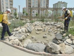 Tuzla Belediyesi Kaynağında İlaçlama Yapıyor