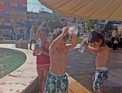 Sıcaktan Bunalan 3 Kafadar Havuzda Serinledi