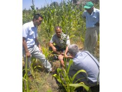Tarım Danışmanları Köylüleri 2b Ve Meyvecilik Hakkında Bilgilendirdi