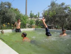 Sıcak Asfaltta Yumurta Pişirdi