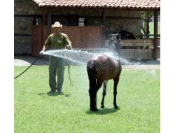 Hayvanlar Su Ve Meyve İle Serinletiliyor