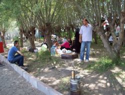 Sepetini Alan Pikniğe Koştu