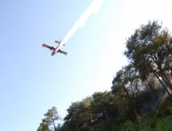 Kozan'da Orman Yangını