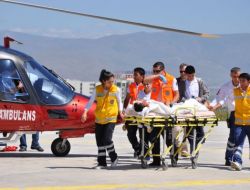 Ayı Saldırısına Uğrayan Çoban Ağır Yaralandı