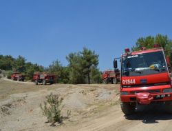 Kozan’da Kontrol Altına Alınan Yangın Tekrar Başladı