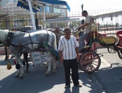 Okuma Yazması Yok Ama 7 Dil Biliyor