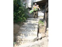 Engelli Oğluna 33 Yıldır Bakan Annenin Yol Mağduriyeti Giderilecek