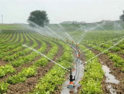 Niğde Çiftçisinin Yüzünü Güldürecek, 8 Yeni Sulama Projesi Müjdesi