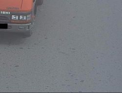 Belediyeden Eds Yalanlaması