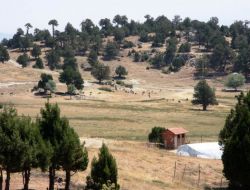 Atalarının Hayvan Otlattığı Yaylalarda Serinliyorlar