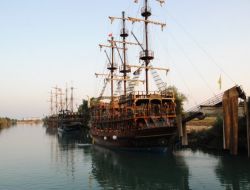 Kooperatif 2 Yıl İçinde İşlem Yapmazsa Mera Ot Bedeli Yanacak