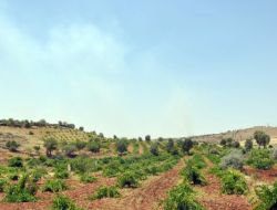 Botaş Boru Hattındaki Yangın Sabaha Karşı Söndü
