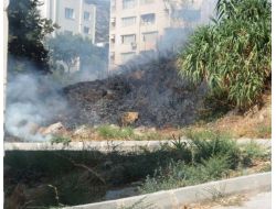 Kuşadası Çevre Yolunda Korkutan Yangın