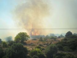 Çeşme'de Makilik Alandaki Yangın Kontrol Altına Alındı