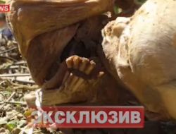 Rusya’da Skandal- Fıçılarda 248 Cenin Bulundu