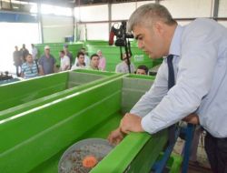 İkçü Su Ürünleri Fakültesi Yüzde 0,7 Tuzlulukta Alabalık Üretti