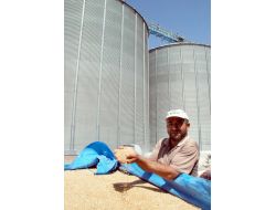 Elbistan Tmo, 10 Bin Ton Buğday Alacak