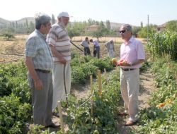 Organik Canlı Gübre İle Yüzde 30’un Üzerinde Organik Ürün Elde Edildi