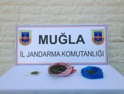 Muğla'da Jandarmadan Uyuşturucu Operasyonu
