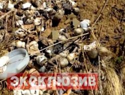 Rusya Ortodoks Kilisesi Patriği Krill, 248 Cenin Olayına Tepki Gösterdi